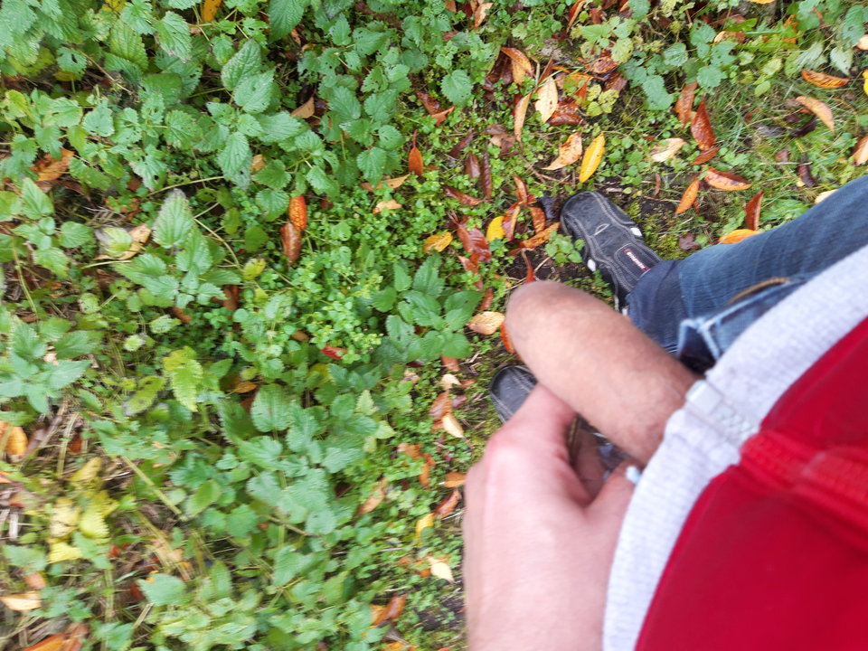 20181103_105745.jpg - Lolek2018