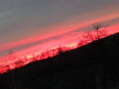 IMG_20181105_164422.jpg