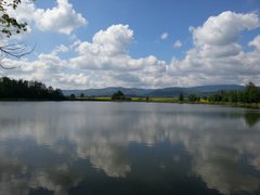C4702CC8-47A1-4C3E-BE9A-25539AE3FD73.jpeg