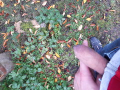 20181103_105752.jpg