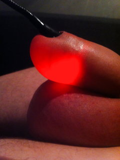 379_1000.jpg
