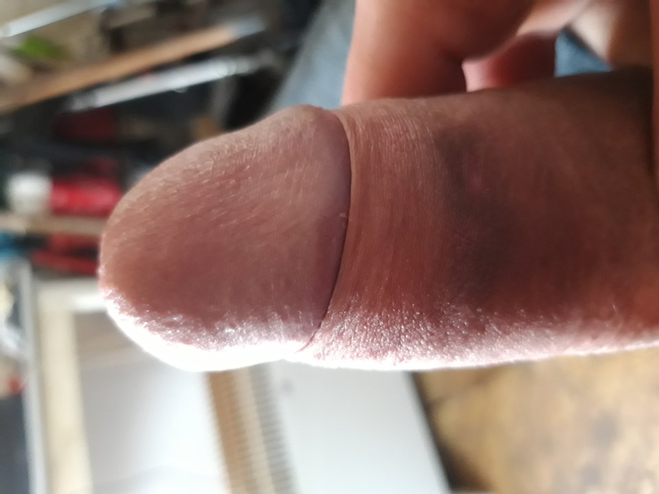1541684995405813024580363481355.jpg - Lolek2018