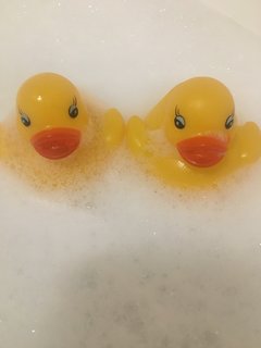 FD25F1F6-C052-49A5-8DFC-6EA41DE3B3EA.jpeg