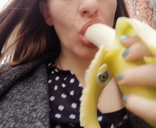 petronellaikomandor