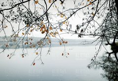 20181109_141920.jpg