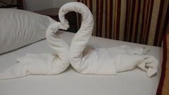 20181110_165349.jpg