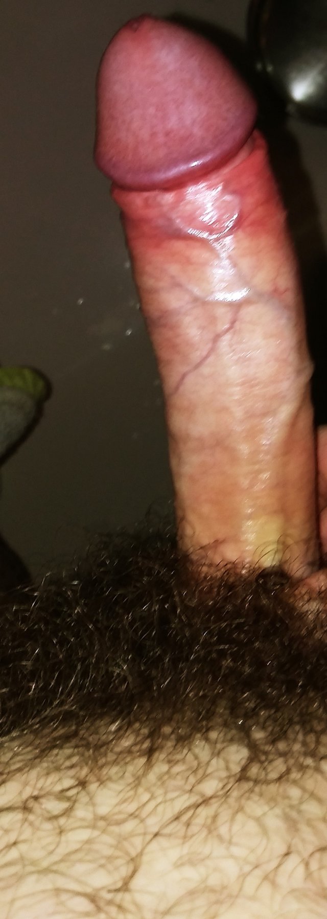 Ariell12