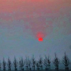 A7ADE256-C38E-45EF-876C-FDD6ACF671B0.jpeg