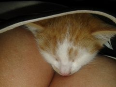 20150611_140508.jpg