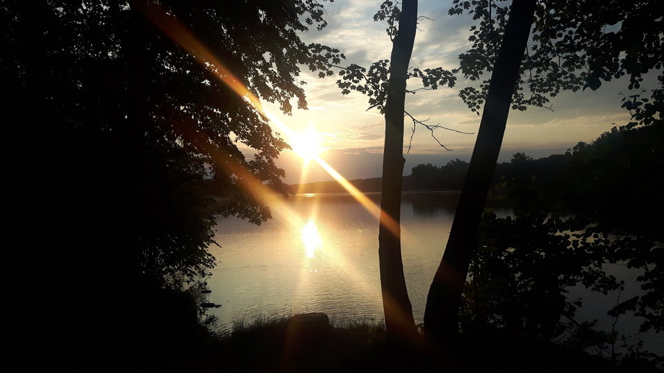 20180609_202948.jpg - Andy098