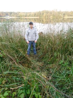 IMG_20171018_170448.jpg