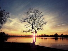 IMG_20181117_163501_842.jpg