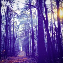 D206BC8E-8D0B-469F-AF2A-B44B721AD3B3.jpeg