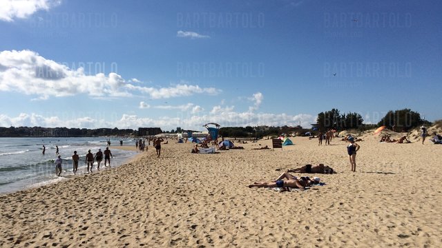 BartBartolo