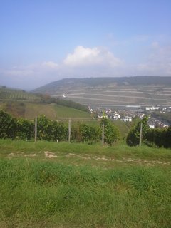20170923_123544.jpg