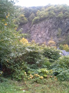 20171008_171409.jpg