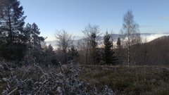 IMG_20181117_101617.jpg