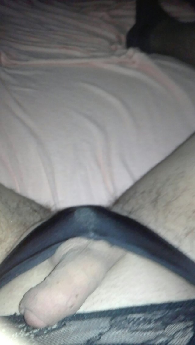 NylonsPanties