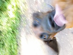 0_20170830_083257.jpg