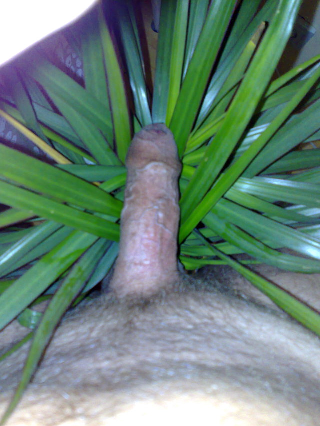 Marcinwis