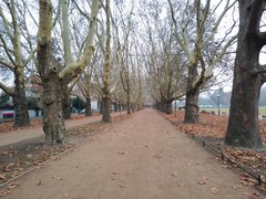 IMG_20181118_101927740.jpg