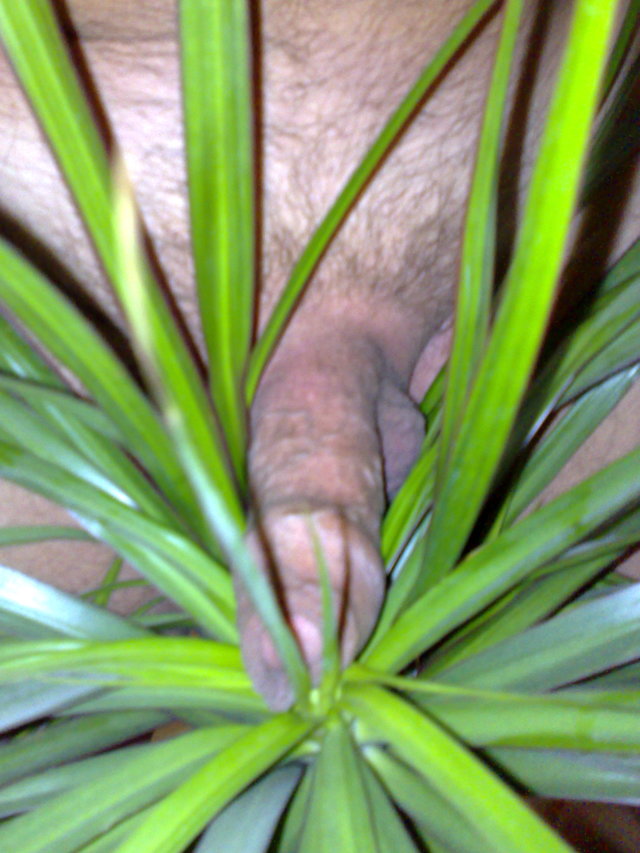 Marcinwis