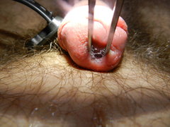 DSCN2531.JPG