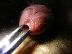 DSCN2535.JPG