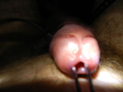 DSCN2553.JPG