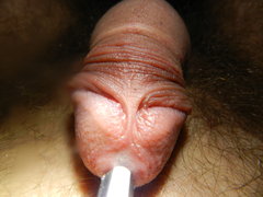 DSCN2572.JPG