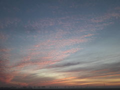 20181118_070817.jpg
