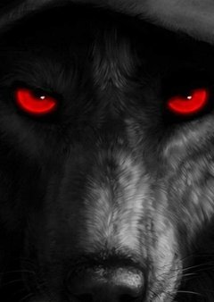 04fcd7b45735a286b1b612b44e9c63e1.jpg