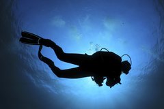 scuba-diver.jpg