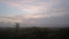 DSC_0617.JPG