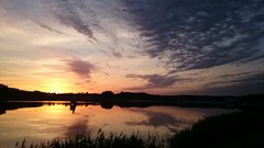 DSC_0156.JPG