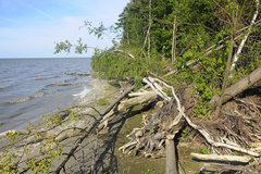 _DSC5004.jpg
