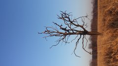 20181201_143024.jpg