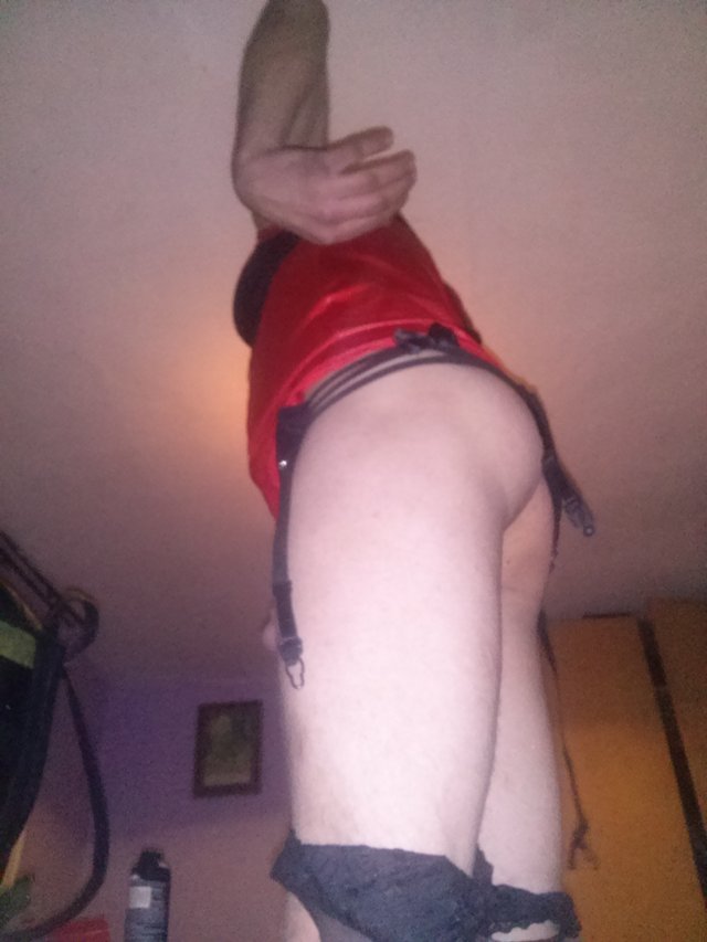 transania1
