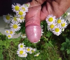 _20170706_131206.JPG