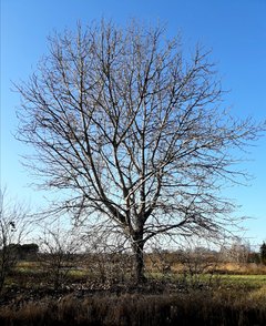20181205_134702.jpg