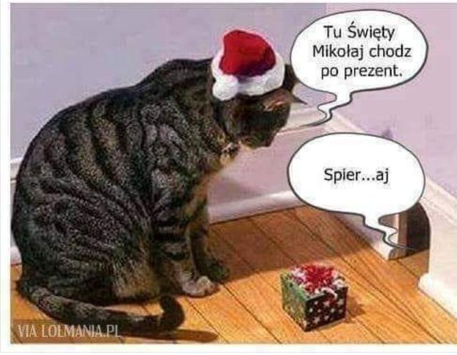 sobotnimelanz