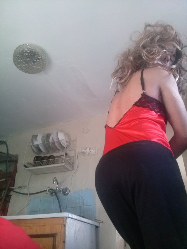 transania1