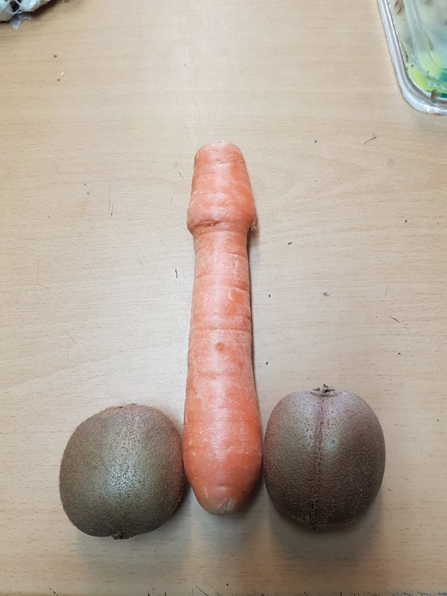 Rygiel69