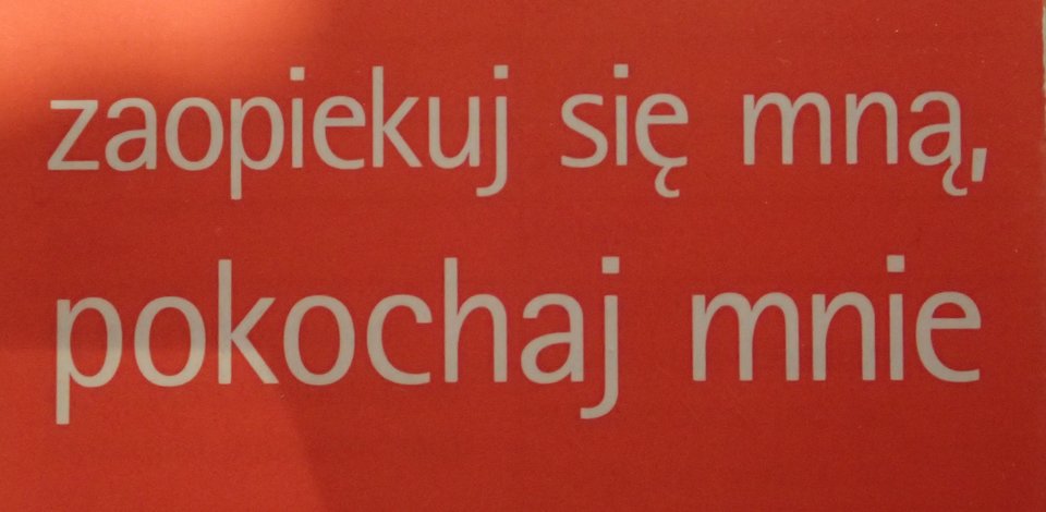 .... - Ursus_Arctos_
