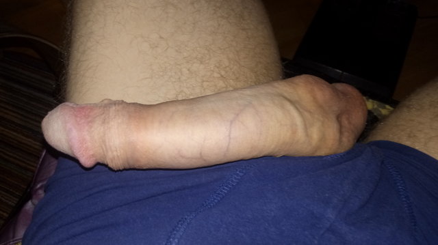Sebek310889
