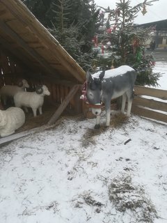 Moja obora