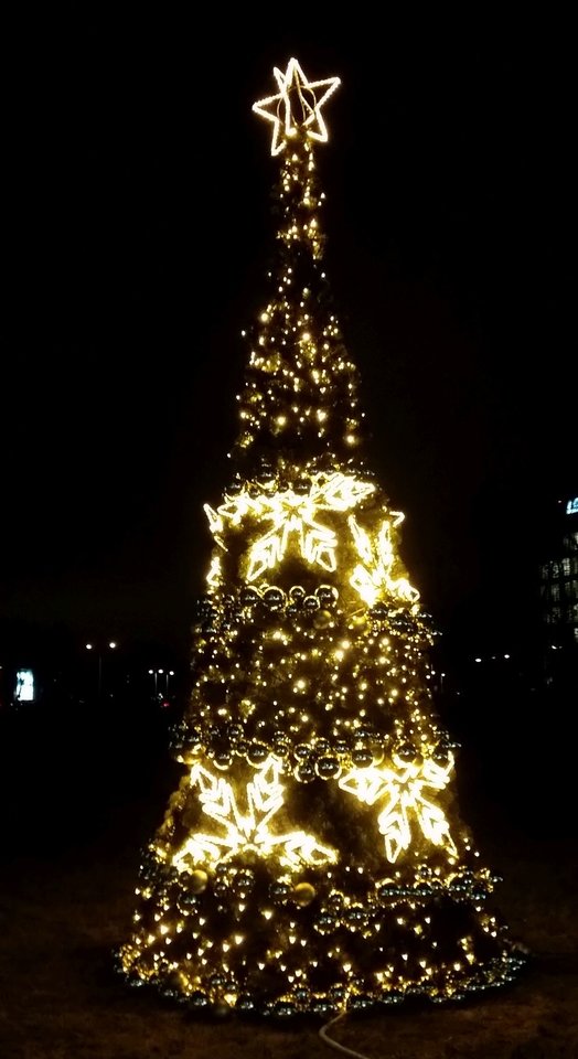 20181213_163038.jpg - Nice71