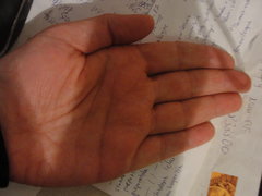 DSC05684.JPG