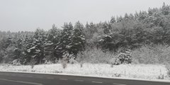 IMG_20181219_101837.jpg