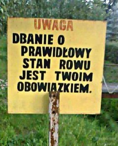 BC9AC6BA-1D7A-499D-9328-6A5E62D60BD9.jpeg